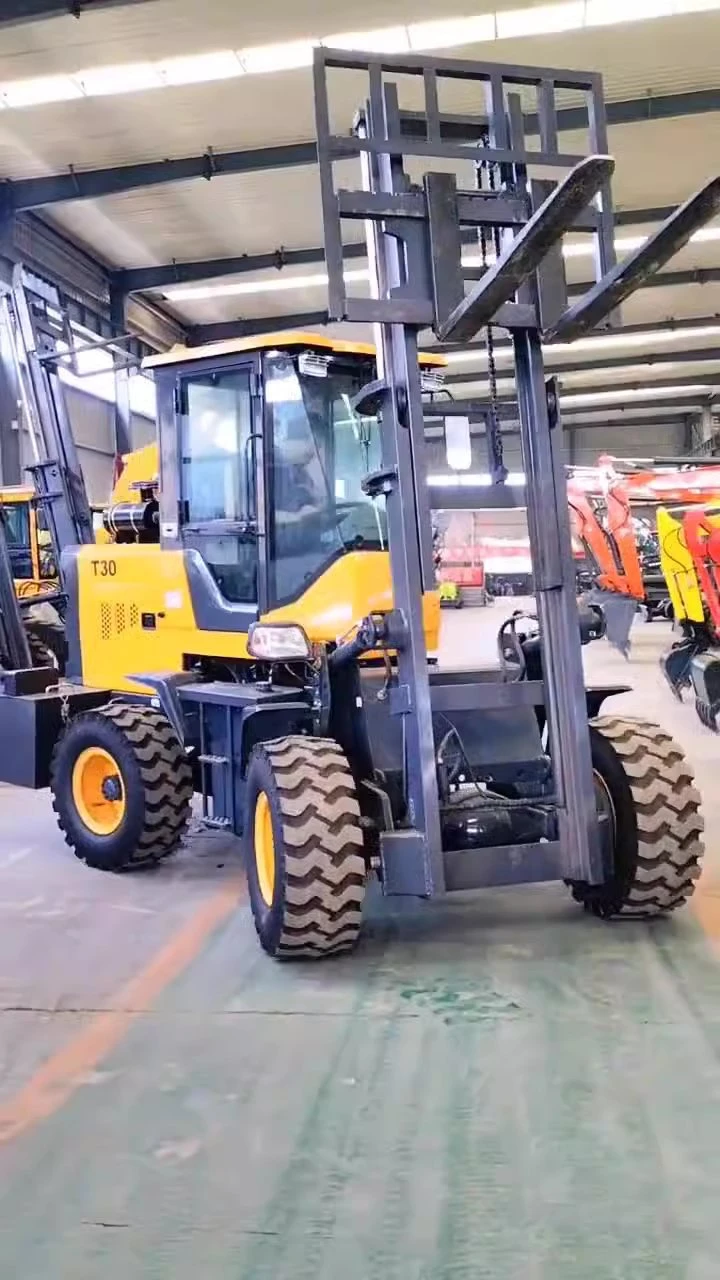 Deposit 3 Ton Electric Forklift CE Certification Customized Wholesale Multifunctional