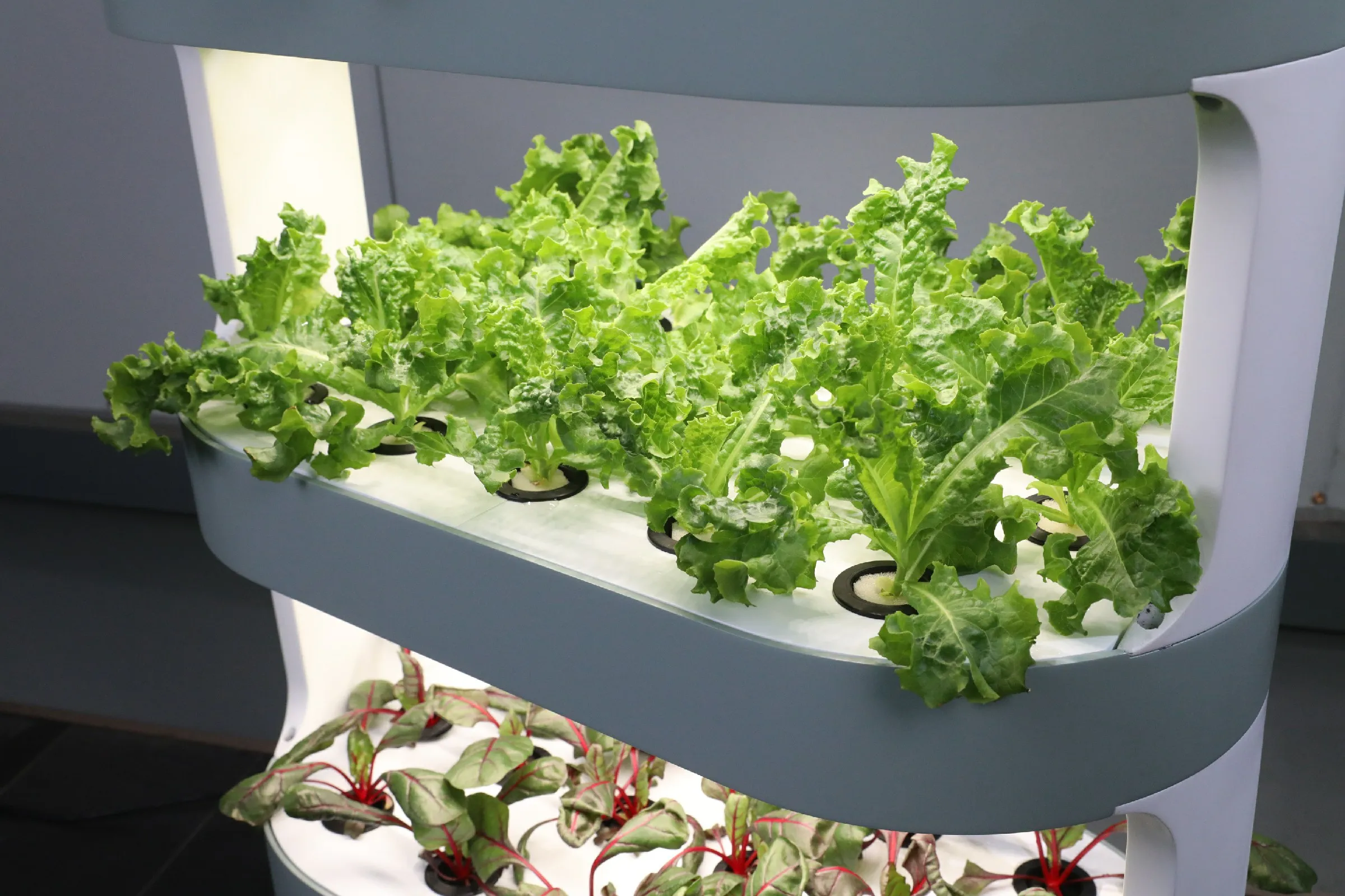 China Supplier Water Culture Hydroponics equipment vertical hydroponic tower width LED grow lamp