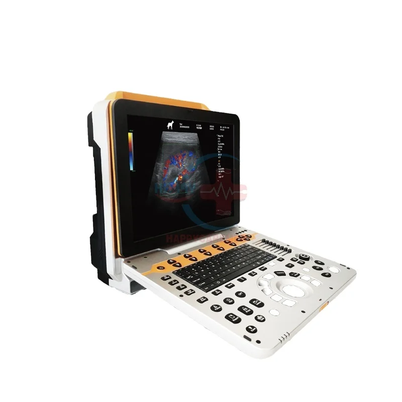 HC-A071 VET portable veterinary ultrasound scanner  color doppler usg machine in good price