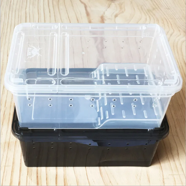 Horned Frog Feeding Box Amphibious Feeding Box Shougong Ciliary Horn Spider Insect Turtle Player Snake Anti-Escape Feeding Box