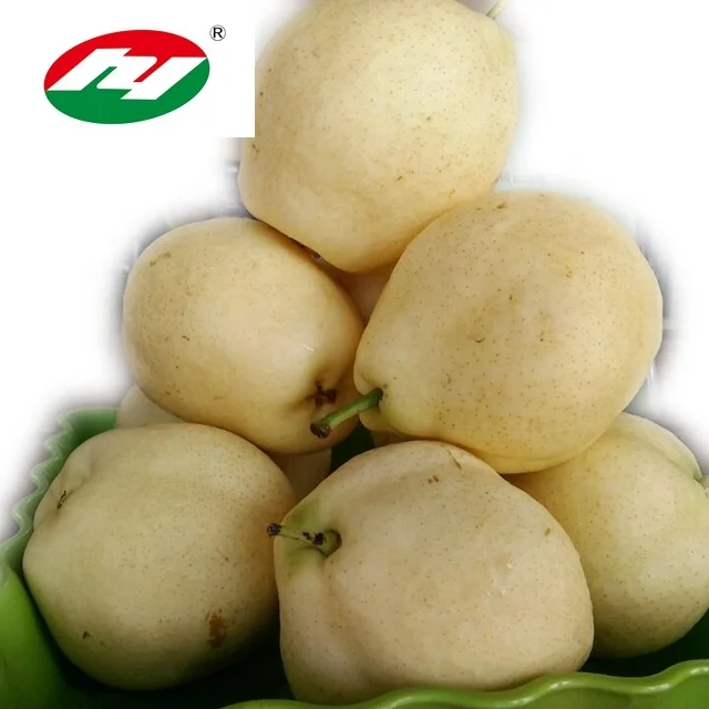 Свежая груша вкусная