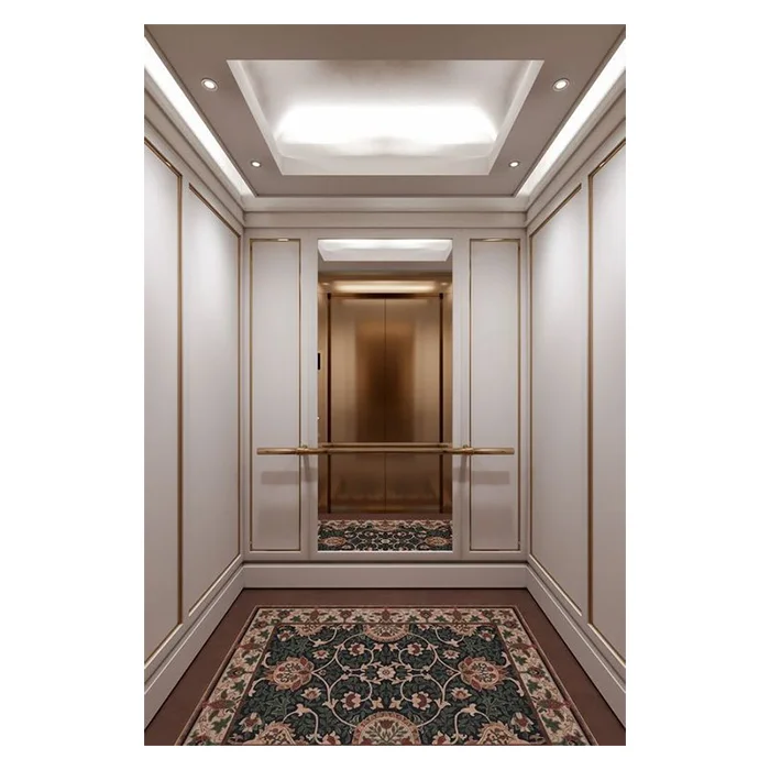 ZLE Smart Roomless пассажирский лифт горячая Распродажа торговый центр отель квартира жилой Лифт