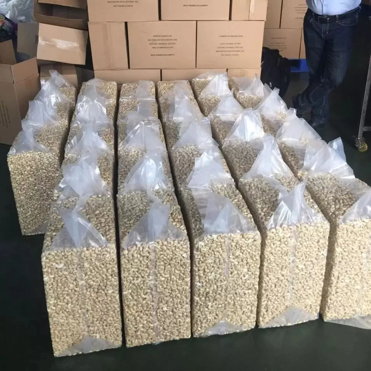 Cashew Kernel Vietnam Competitive Price Raw All Sizes Export Oriented Wholesale Cheap Price New Arrival Supplier Offers Raw Cash