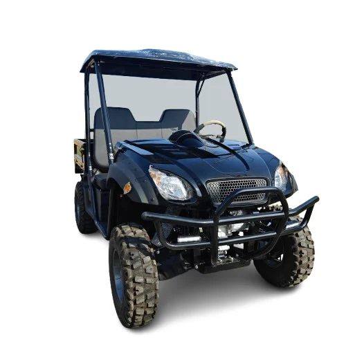 Китай оптовая продажа роскошный 4-х 2-Местный Электрический UTV развитый уличный автомобиль с автоматической трансмиссией напряжение 60 В сертифицированный EEC