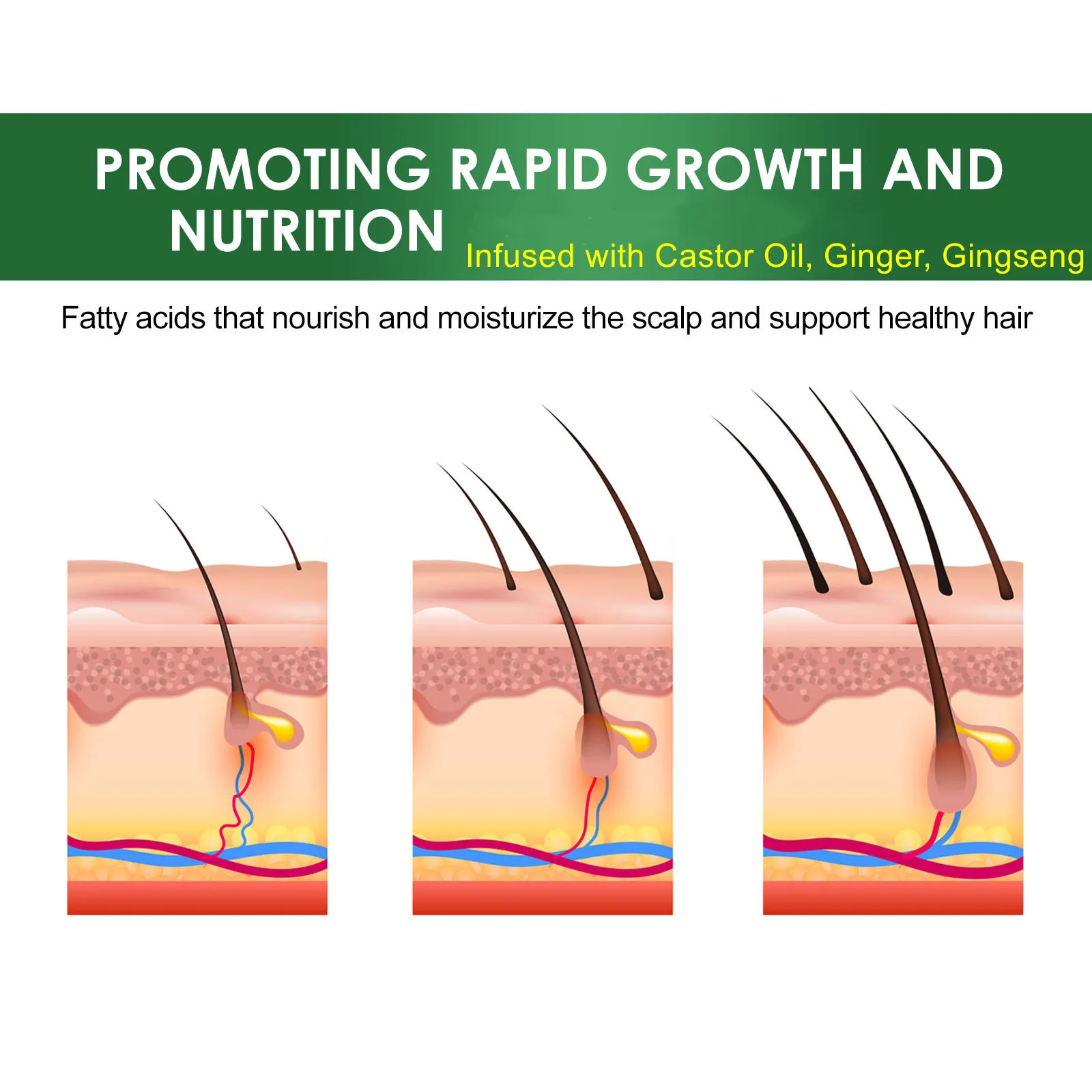 Wholesale Own Brand Anti-hair Loss Ampoule Essence Hair Regeneration