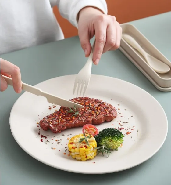 02 Reusable Plastic Fork Spoon Knife Set Portable Dishwasher safe Plastic Flatware Cutlery Set Custom