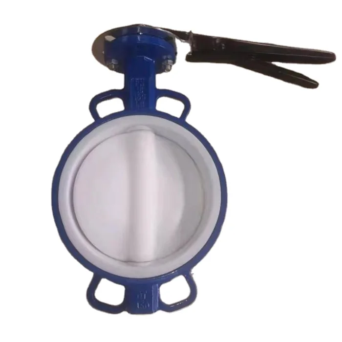PTFE butterfly valve..jpg