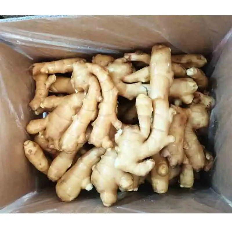 Factory direct sale fresh ginger (1600262334619)