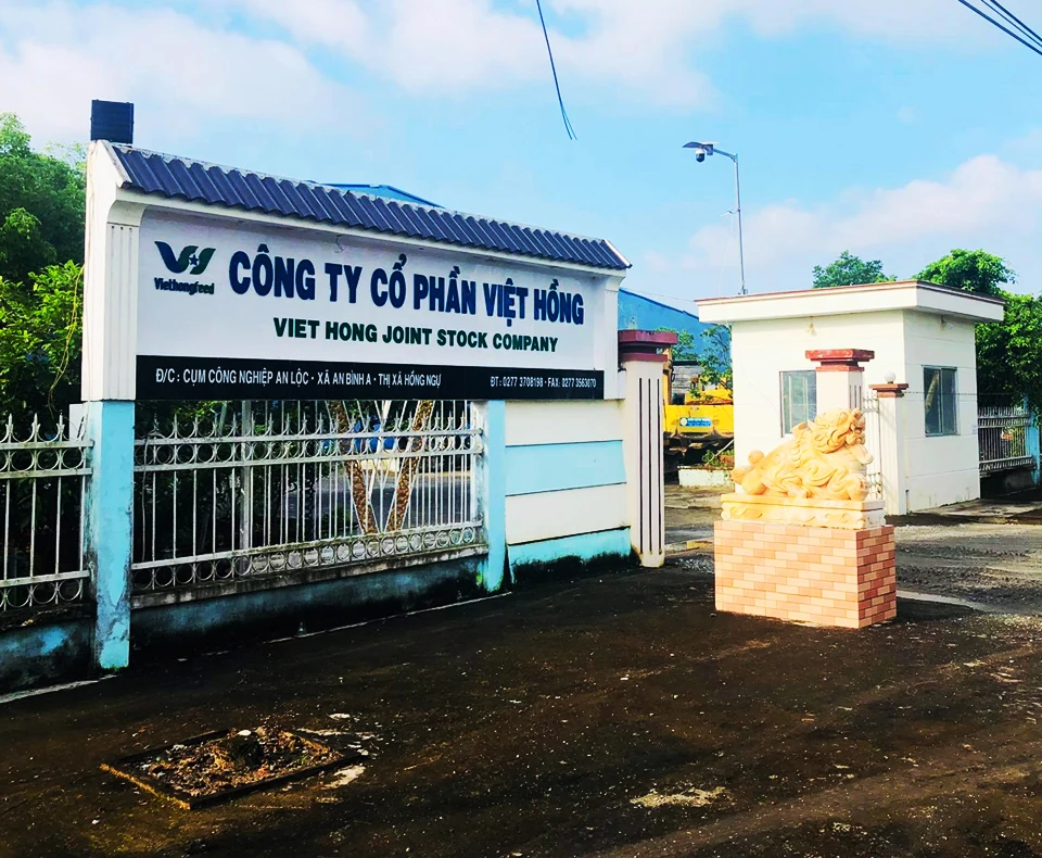 Wholesale Frozen Basa fish fillet skin on Made in VietNam