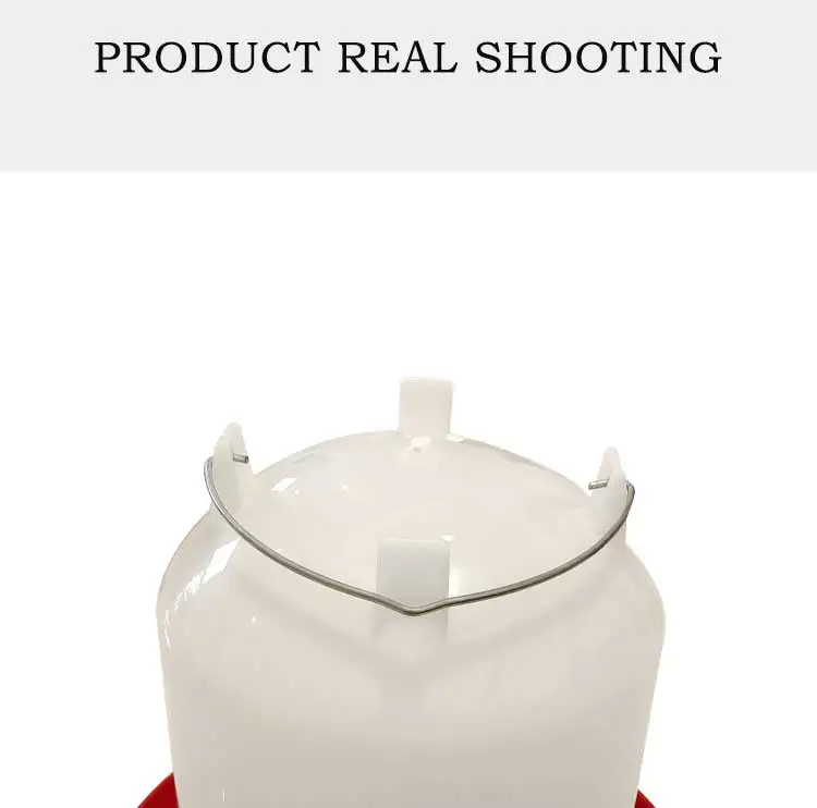 High quality plastic material chick automatic drinker duck water feeder for pigeon