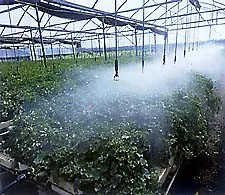  Недорогая теплица с одним пролетным туннелем и арочной формой для