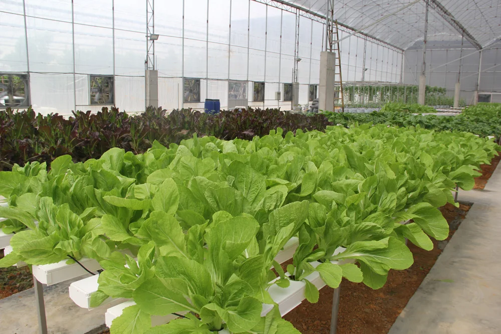НМТ канал вертикальной гидропоники растут ПВХ трубы Microgreen завод