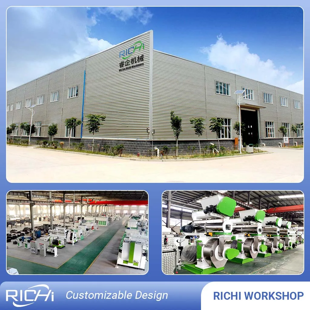 Richi 1-4 T/H Grass Alfalfa Pellet Mill Hay Pellet Machine For Sale
