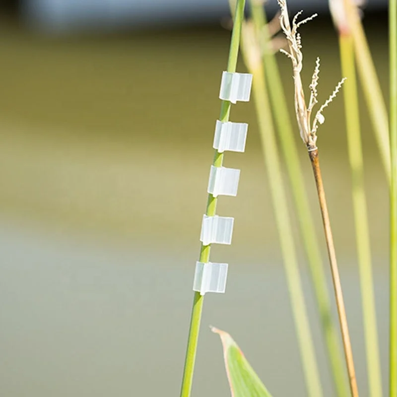 Silicone grafting agriculture clips for plant 3mm silicone tomato graft clip  tomato grafting clip