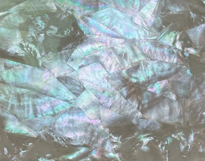 Factory directly supply natural sea shell  black/white Mother Of Pearl shell sheet  with white /black backing for home decor