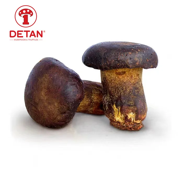 Niu gan jun съедобные Дикие грибы detan экспорт белые оптовая цена