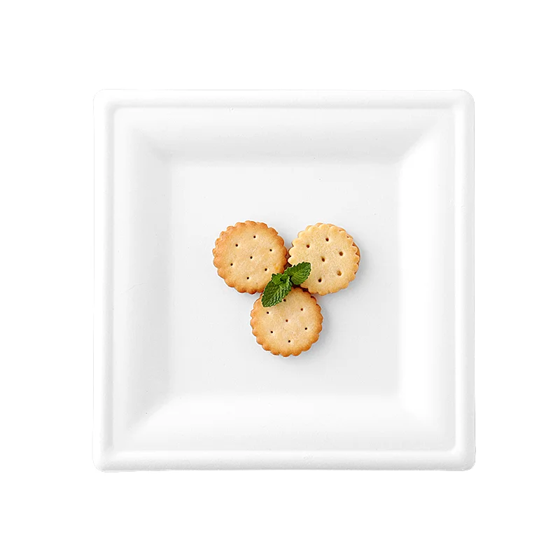 green disposable sugarcane tableware compostable bio degradable heavy duty to go plate square bagasse deep plates