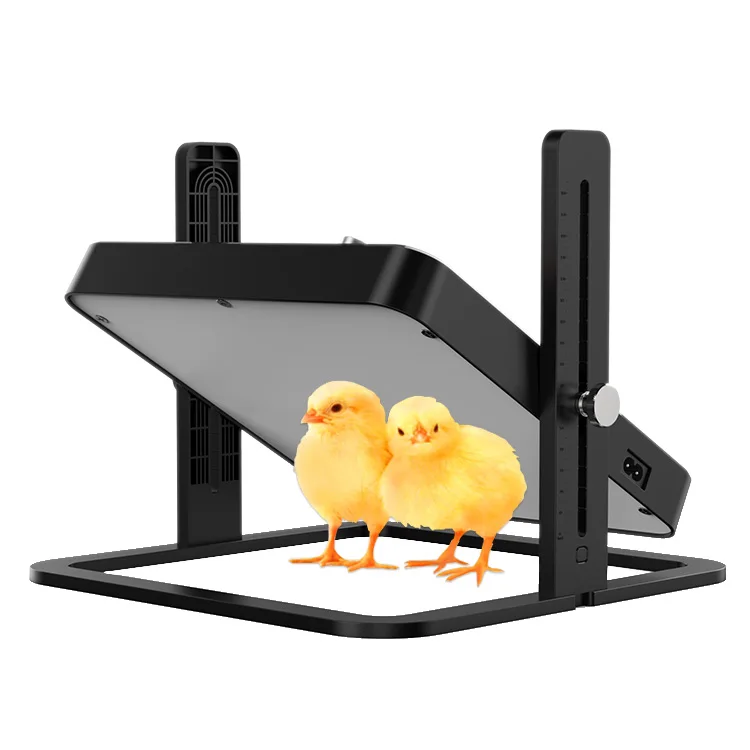 HHD Newest Temperature Control Chick Brooder Heating Plate Quail Bird Brooder
