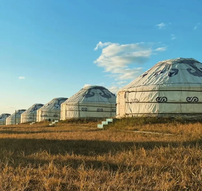 Ger Yurt Accommodation Nomadic Party Using Mongolian Yurt