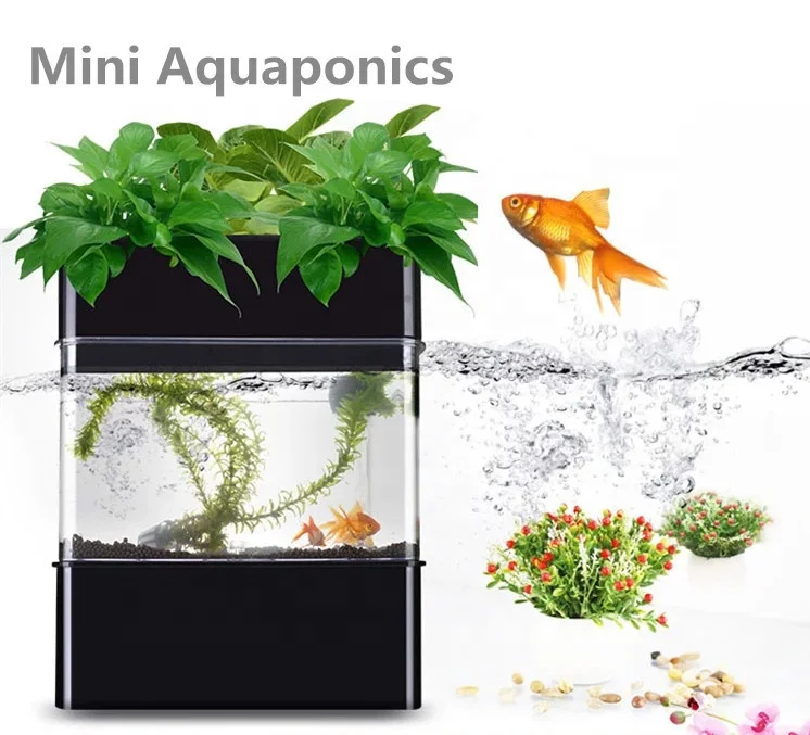 Home Mini Hydroponics Aquaponics Plant Growing Systems with Fish Tank
