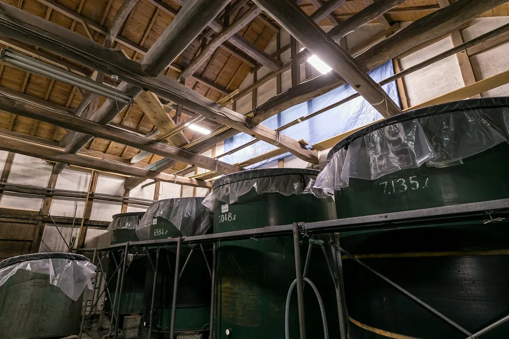 Junmai насыщенный вкус, достойная кислотность, алкогольный напиток, вино