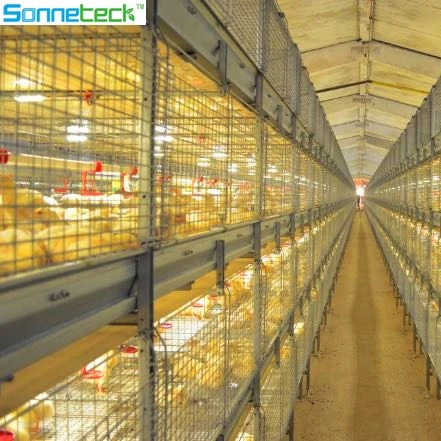 
 Sonneteck 10 Вт сельскохозяйственная светодиодная птица, освещение для вывода цыплят, для разведения бройлеров  