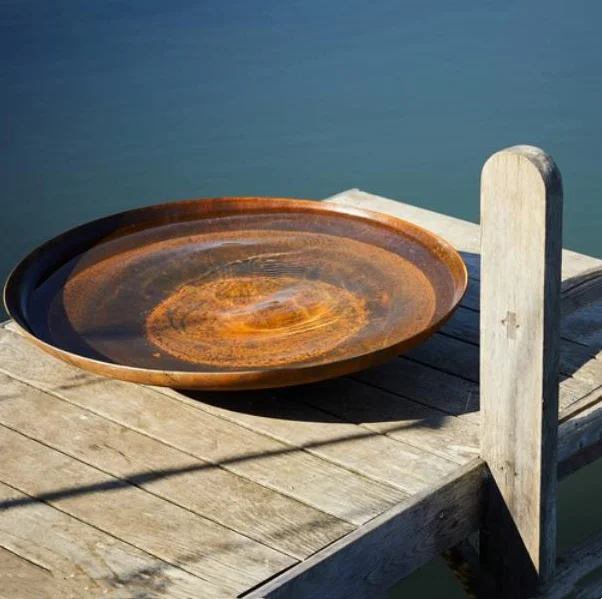 Quick Coupling Camlock Fitting SS Camlock Coupling 304 316 Stainless Steel Head Technics Thread Seal DIN Casting Material Origin