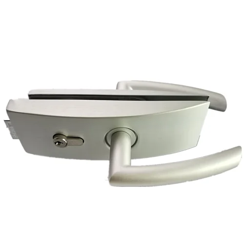 Manufactory Wholesale Swing Glass Door Lock Handle Lock Aluminium Door Lock Set