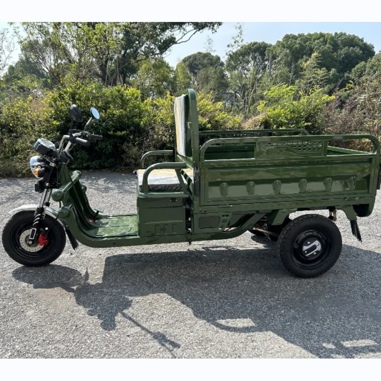 Factory Direct Sales 2023 Adults 3 Wheel Motorcycle Electric Sport Cargo Tricycle
