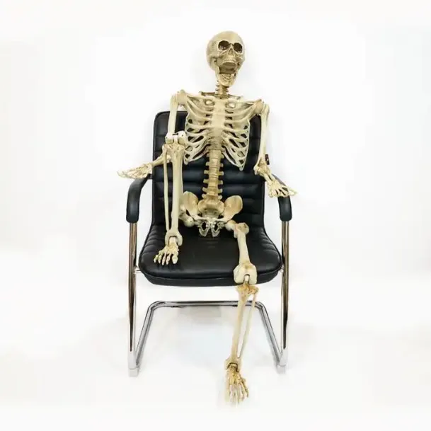 High Quality Large Skeletons Plastic Human Size Adjustable Scary Plastic Full Life Size Halloween Skeleton