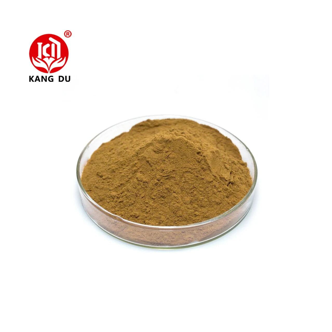 Natural Plant Extract Mango Seed Extract Powder Mango Seed Powder