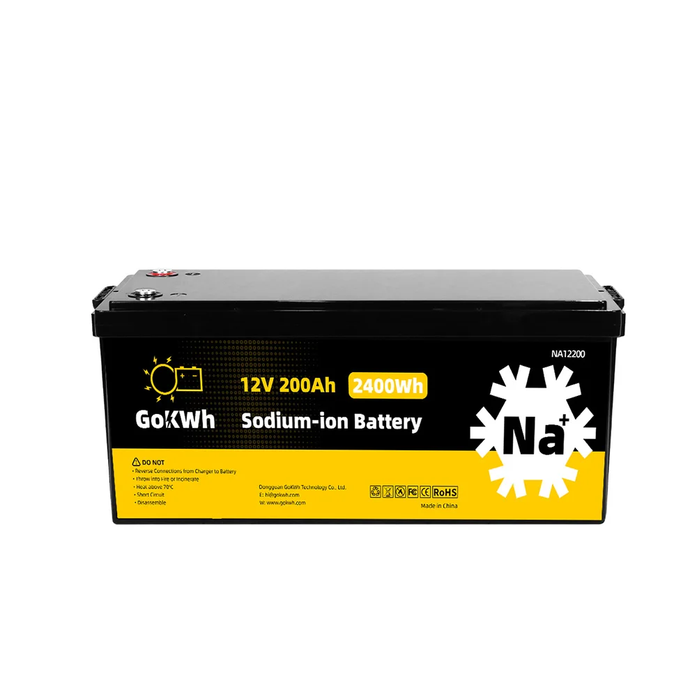EU US Stock Sodium ion Battery 12V 100Ah 200Ah 24V Na ion Cells for Camping Car RV Boat SIB