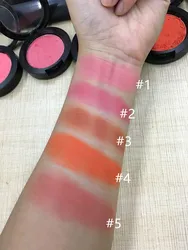 Long lasting waterproof cosmetics private label 5 color blush makeup