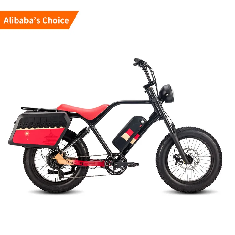 Elektrfiets 250W vintage 750w электрический велосипед батарея 48v 20AH fat tire дешевые ретро электрические велосипеды для взрослых