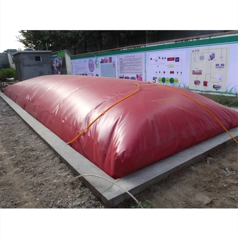 factory price small size biogas plant for cow pig farm biodigester biogas digester system tank bag generate power