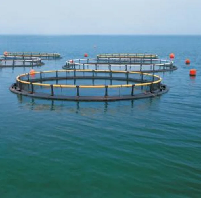 PE Anti-Storm Trout Fish Aquaculture Circular-shape Floating HDPE Fish-farming Cages in Deep Sea