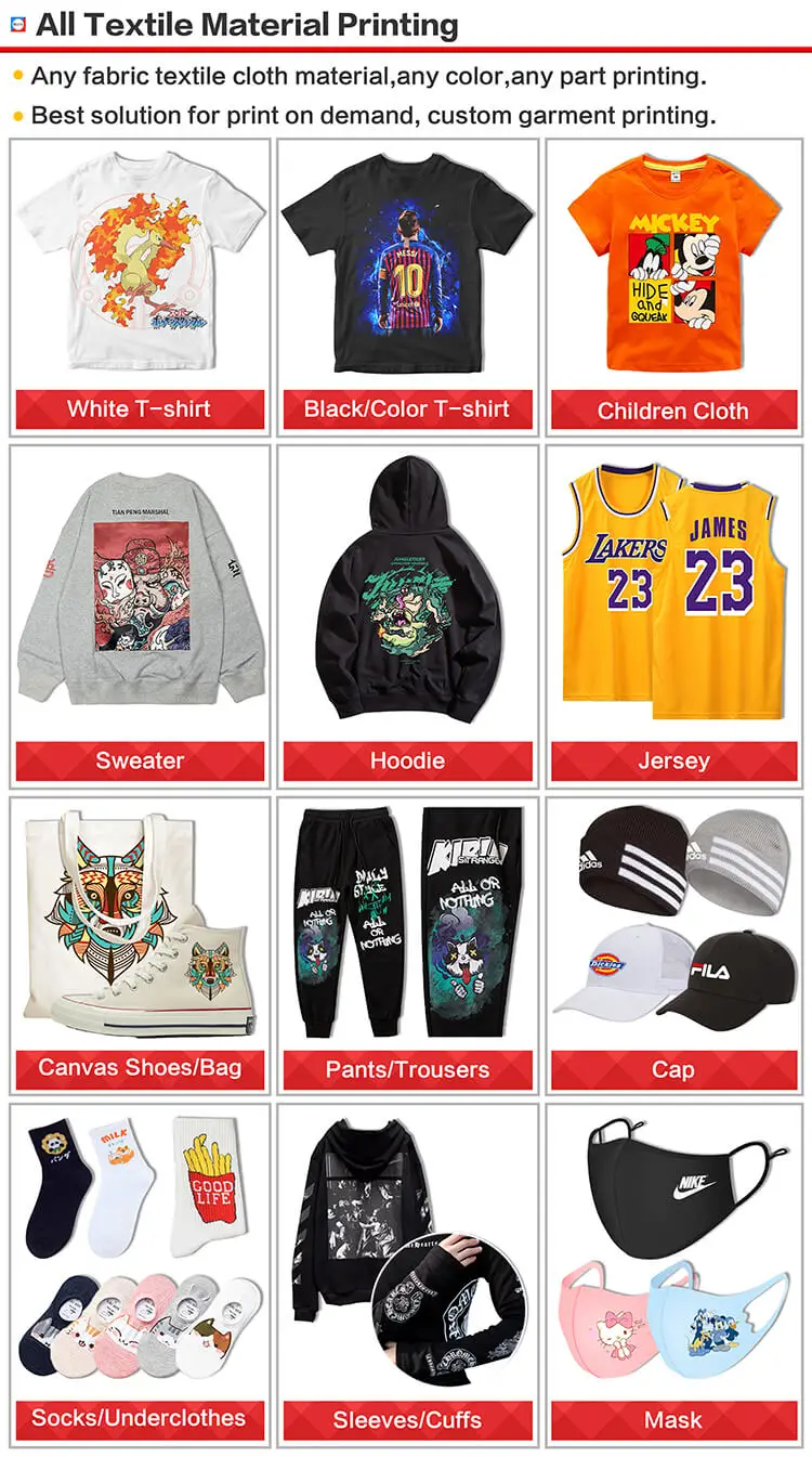 RECAI 30cm Direct To Film Printer T shirt Printing Machine DTF Printer with Shake Powder Machine