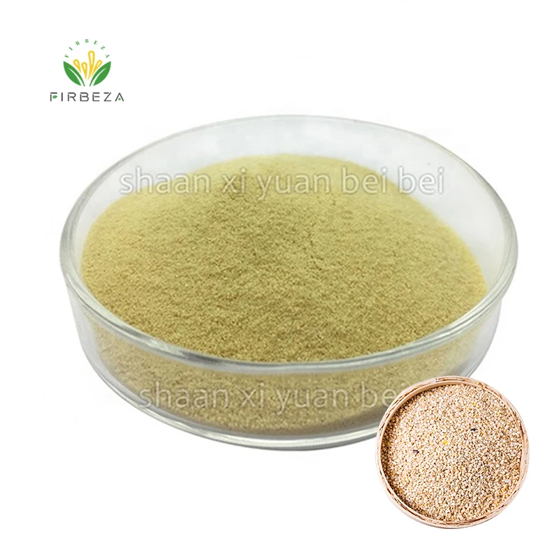 Firbeza Supply Wholesale Price Pure Natural Quinoa Protein Powder
