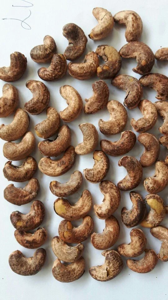  Здоровый сырой орех кешью в скорлупе (упаковка: вакуумные пакеты или жестяная коробка...) Сделано во