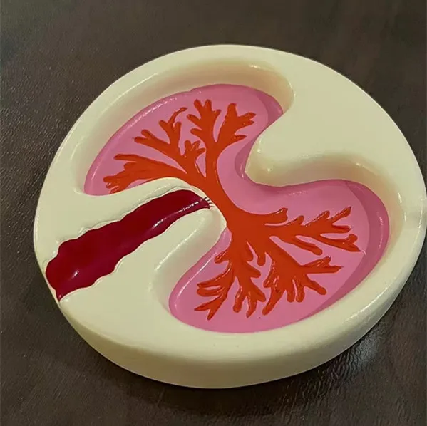 Home Office Smoking Resin Crafts Souvenirs Personalized Creative A Pink Lung Heart Shaped Resin Ashtray