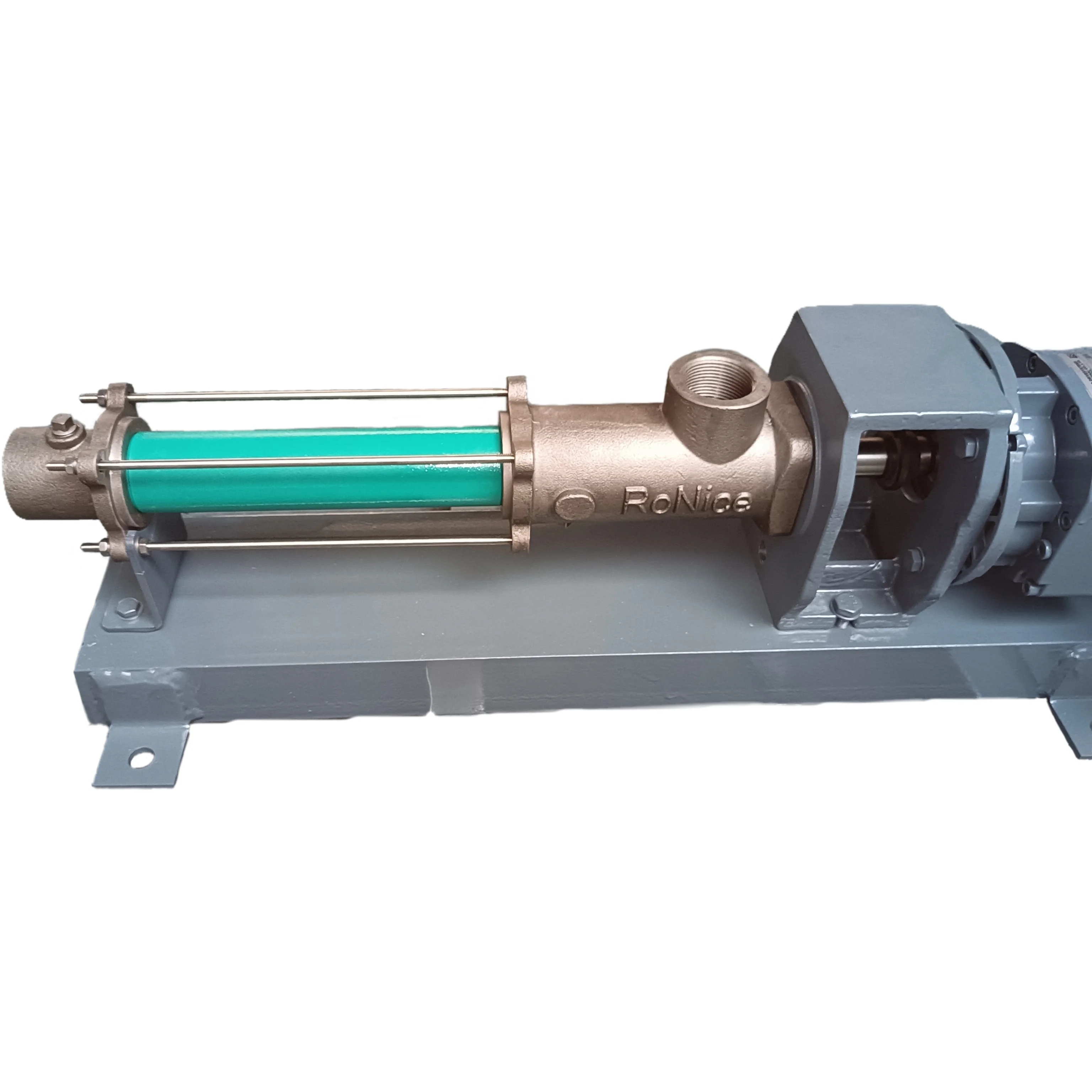 RoNice  as Netzsch NM021BY01L06B Screw Pump for flocculant solution
