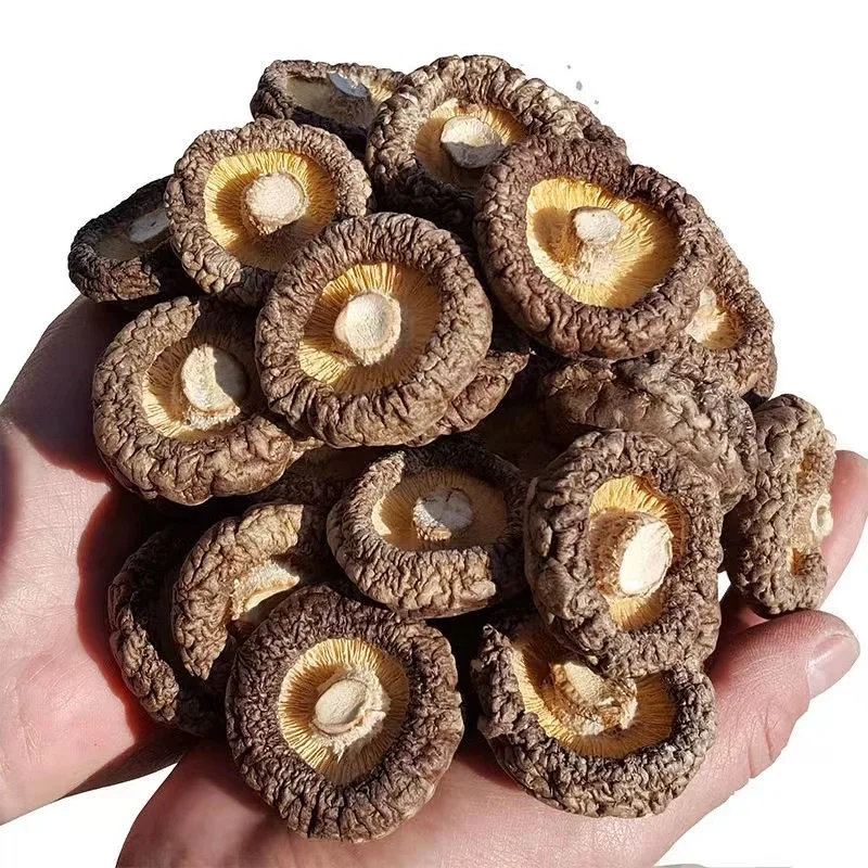 Factory Price Dried Shiitake Mushrooms In Bulk