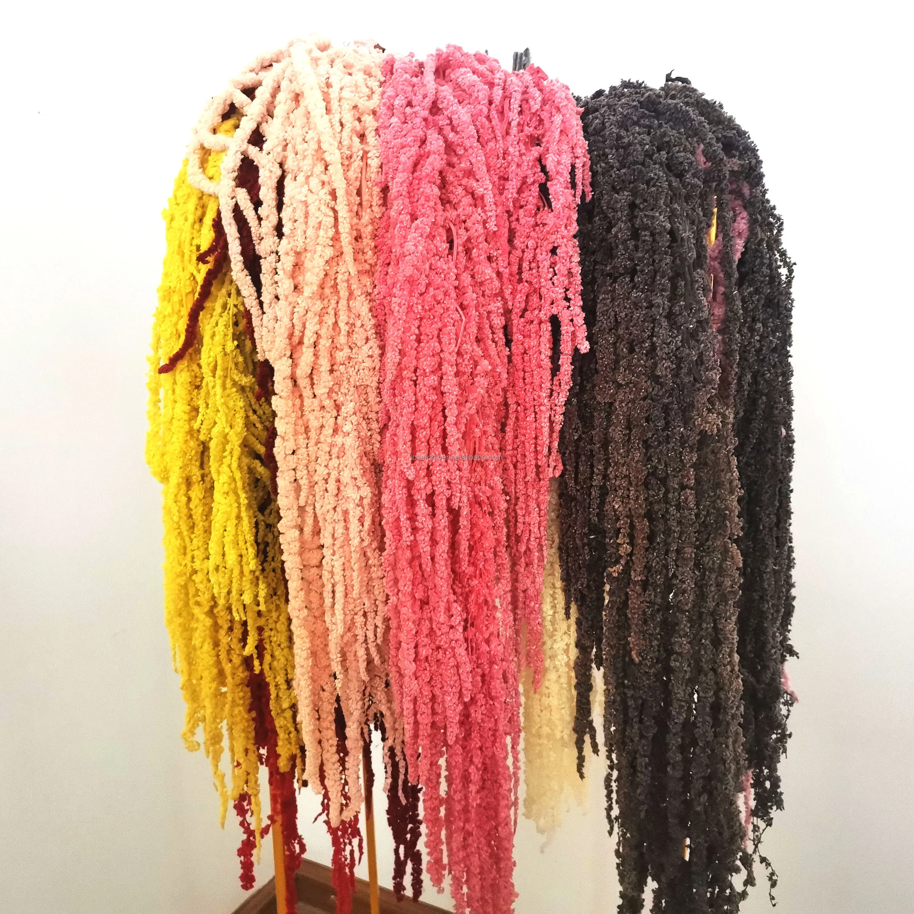 Yunnan natural wholesale natural dried preserved amaranth for home decoration & wedding