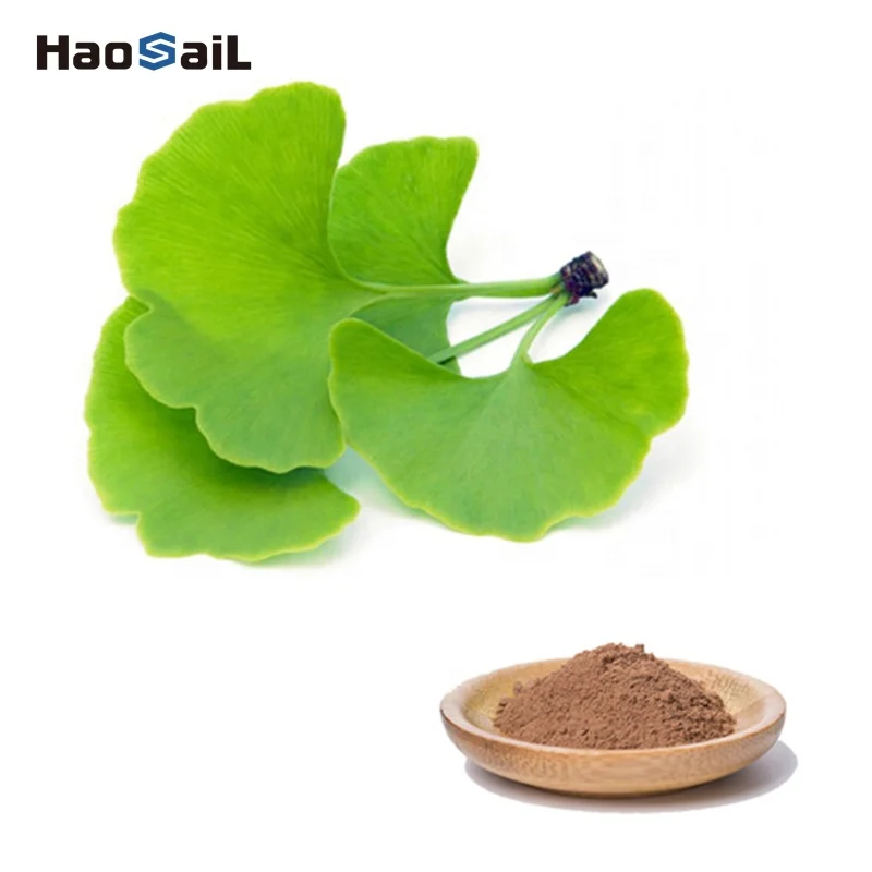 24% 6% ginkgo biloba extract flavonoids terpene lactones ginkgo biloba leaf extract