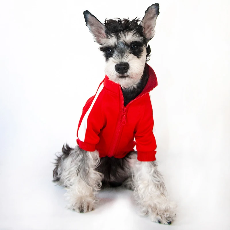 GMTPET Pet Apparel Factory OEM Custom Logo Fashion Dog Bomber Jacket Blank Dog Clothes Sport Pet Clothes