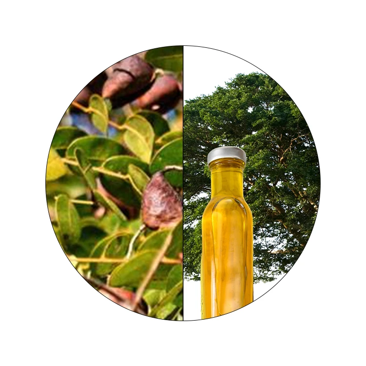 Amazon Rainforest Copaiba Balsam Tree Resin Oil Skin Care Antioxidant Product Allergy Relief Essential Oil