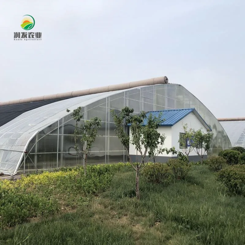 Commercial Greenhouse Hydroponic System For Container Cultivation