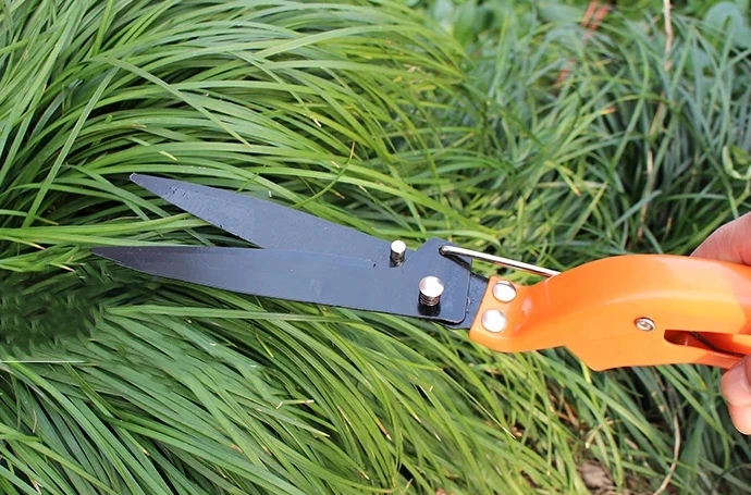 Colorful Gardening Tools Bonsai Tree Real Plant Carbon Steel Gardening Bonsai Tool Set For Trimmin