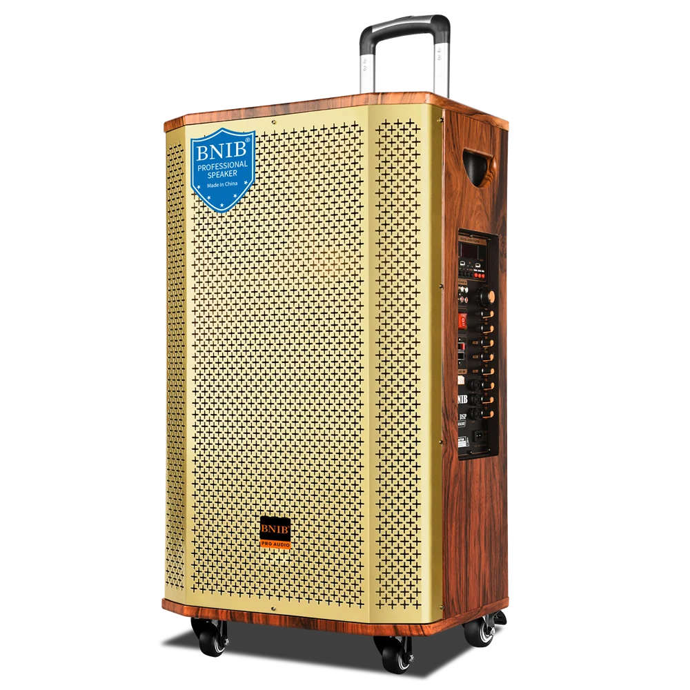 BNIB China Factory Price Outdoor Trolley Speaker 12 inch Woofer Wireless Speakers OEM Big Power Battery Speaker