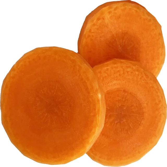 carrot price  fresh carrot wholesale  size M L XL  for export